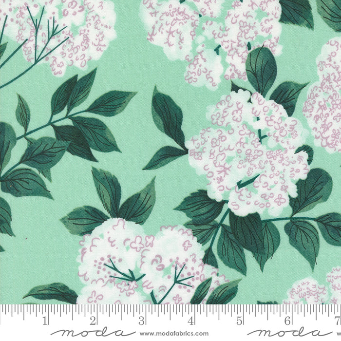 *PRE-ORDER* Love Letter, Elderberry Blossoms in Seafoam