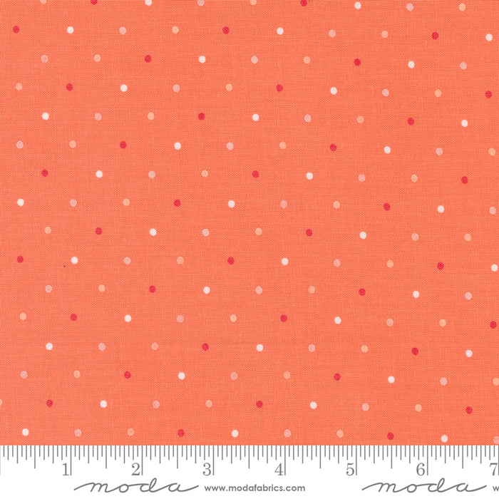 Magic Dot in Coral